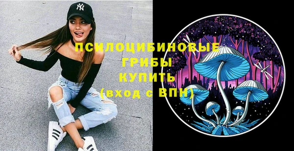 амф Корсаков