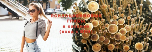 бутират Костерёво