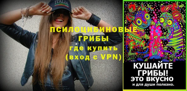 амф Корсаков