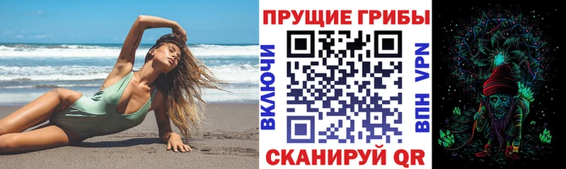 Галлюциногенные грибы GOLDEN TEACHER  Купить где  Гаврилов Посад 