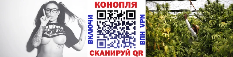 Марихуана Bruce Banner  Купить  Гаврилов Посад 